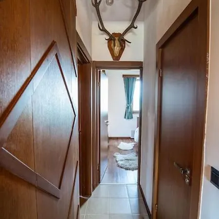 The 2 Bedrooms Paradise Apartment *